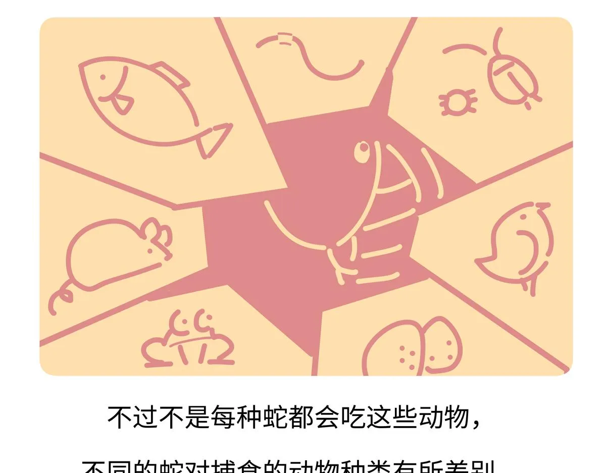 第253话22