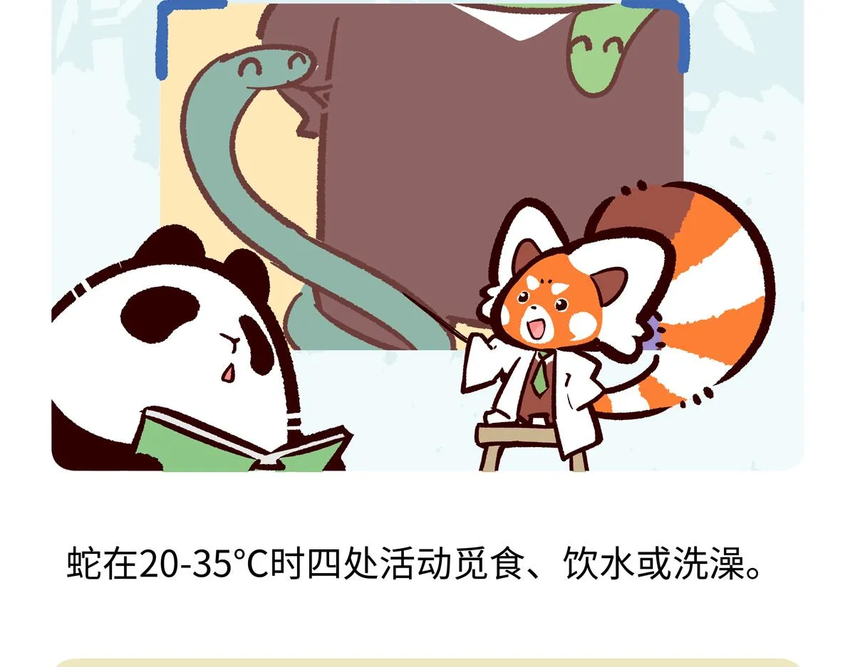 第250话25