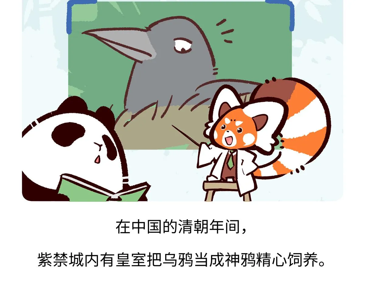 第248话19