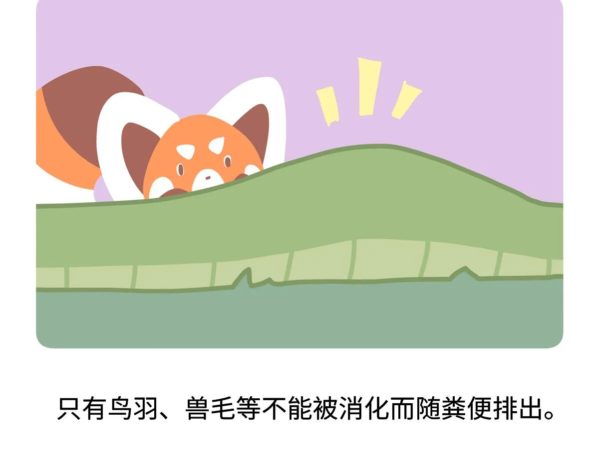 第254话26