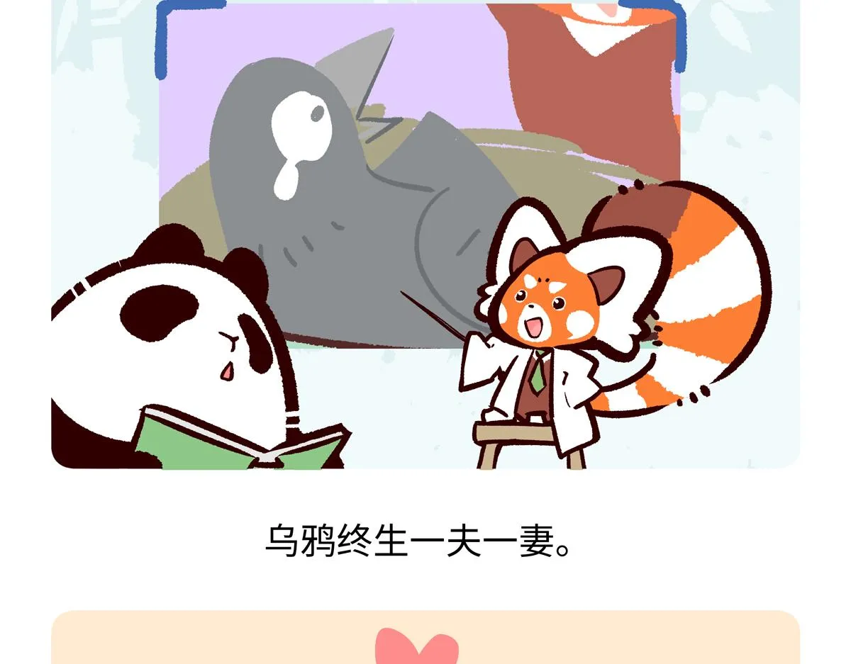 第247话19