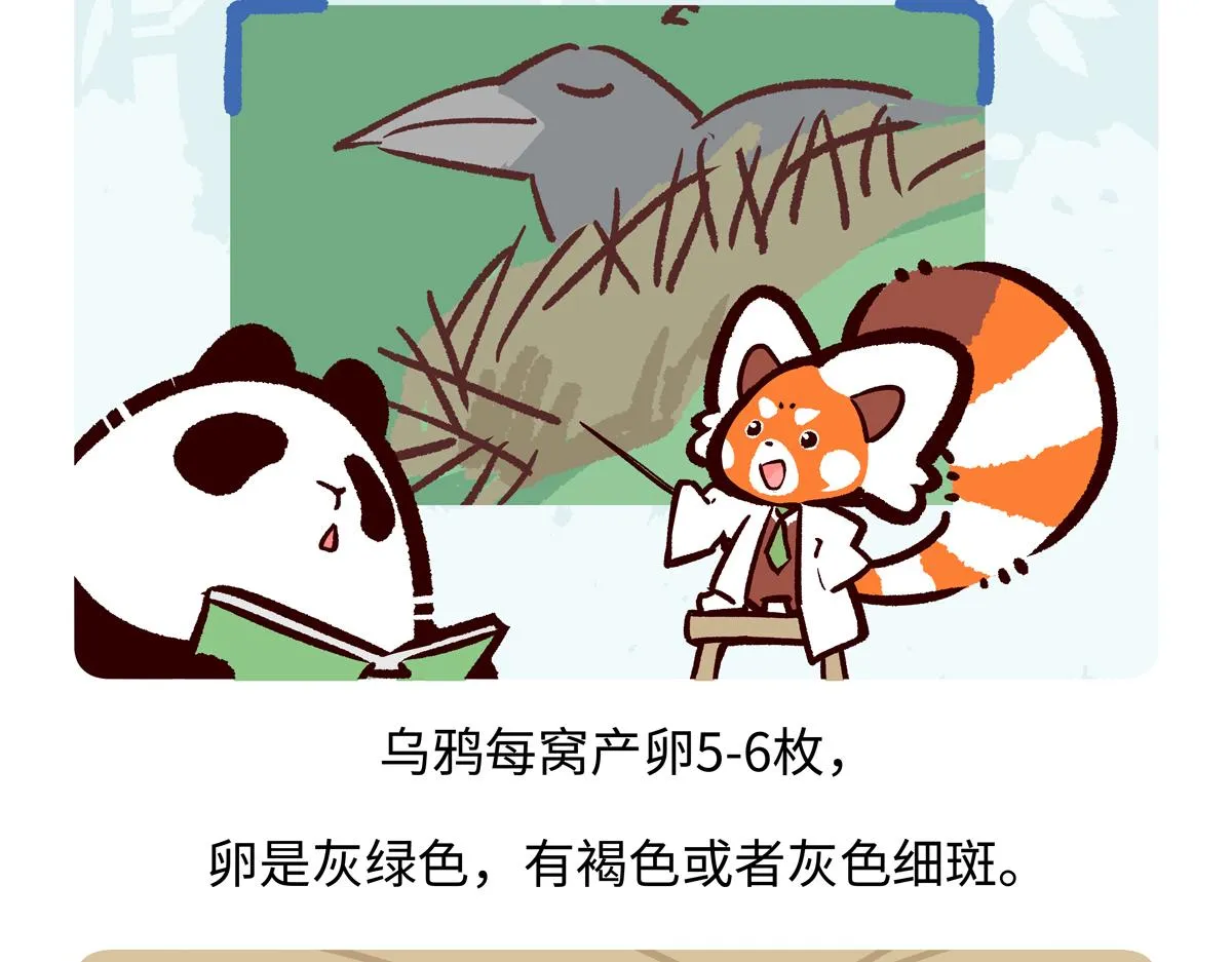 第247话25