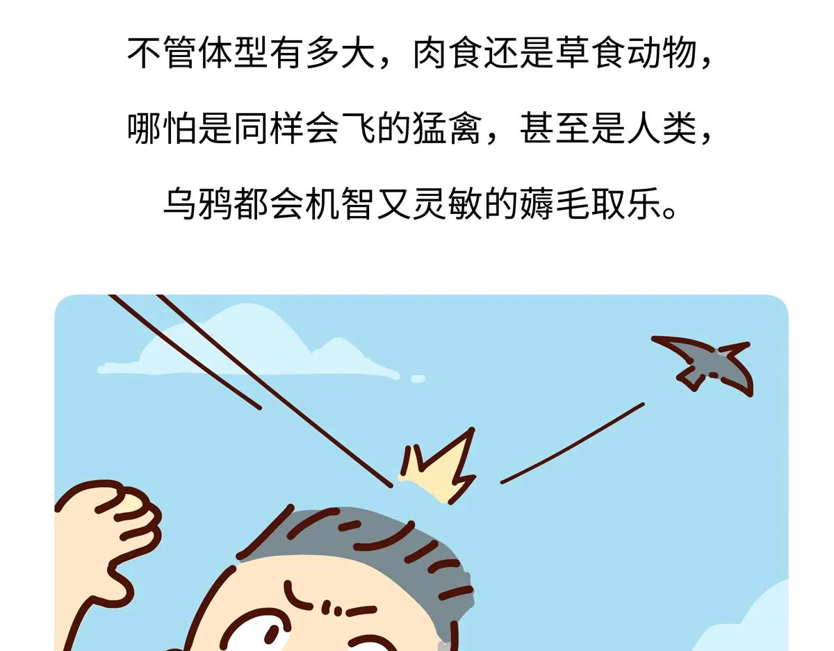 第246话26