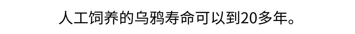 第247话28