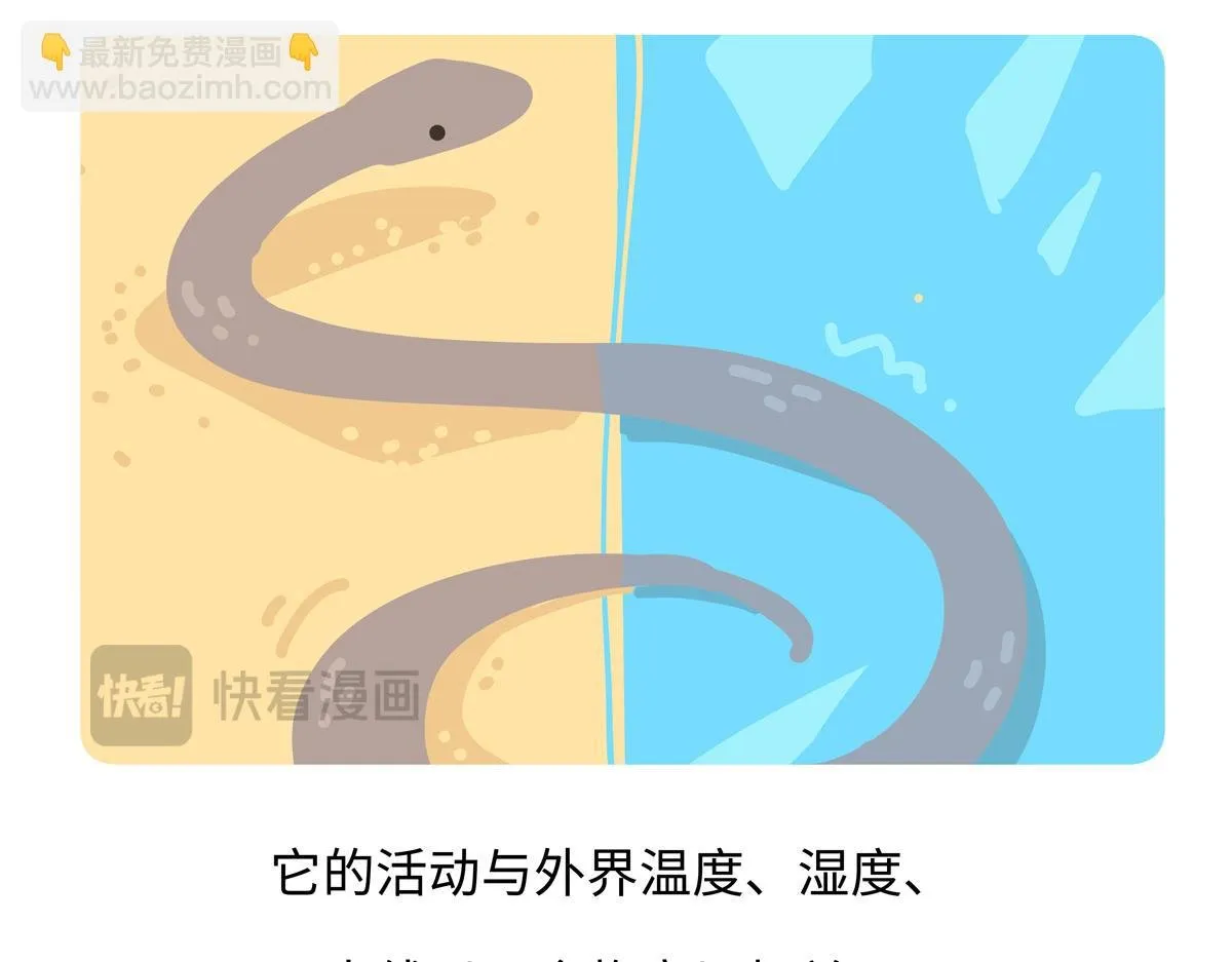 第250话21