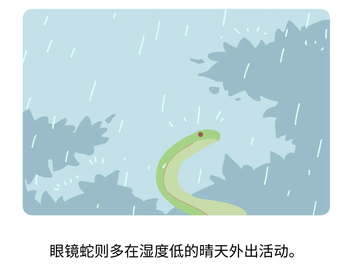 第252话22