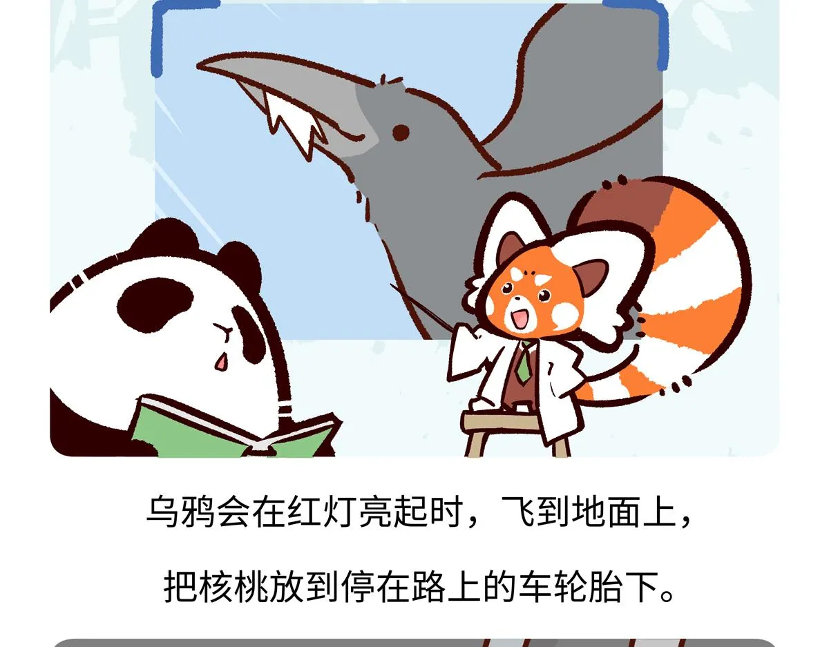 第246话17