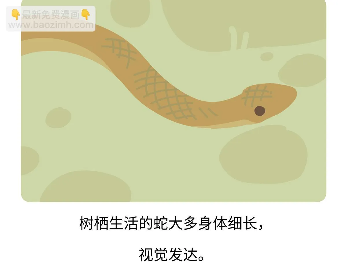 第249话26