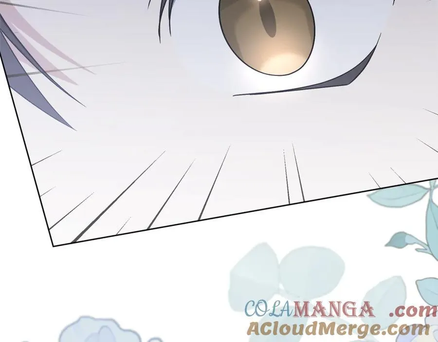 第90话 印章戒指152