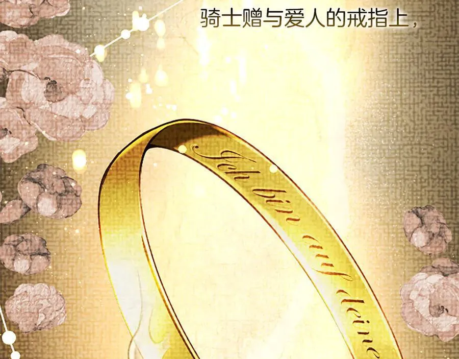 第33话 骑士的价值5