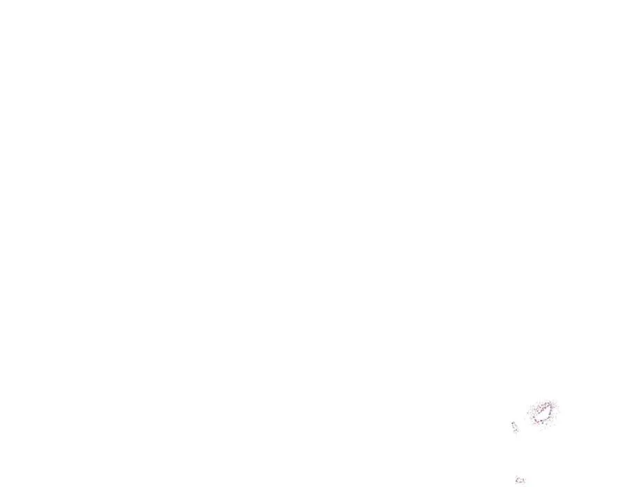 第28话 不反抗吗？182