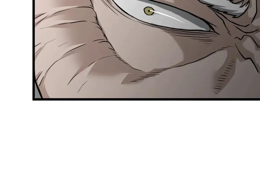 第214话 计划245