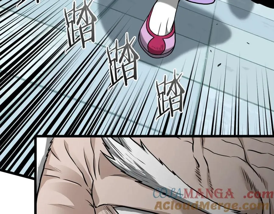 第214话 计划244
