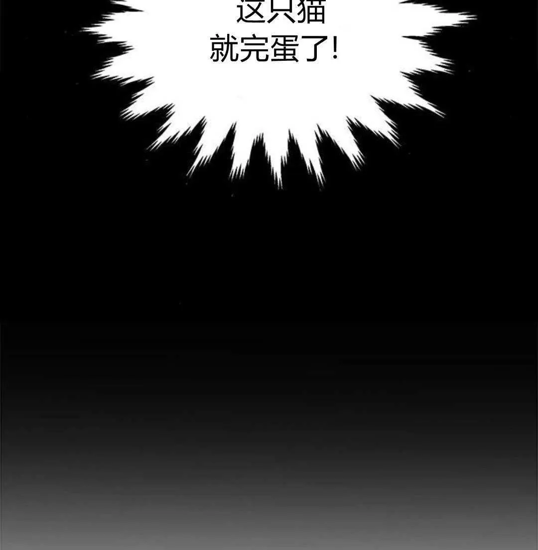 第51话100