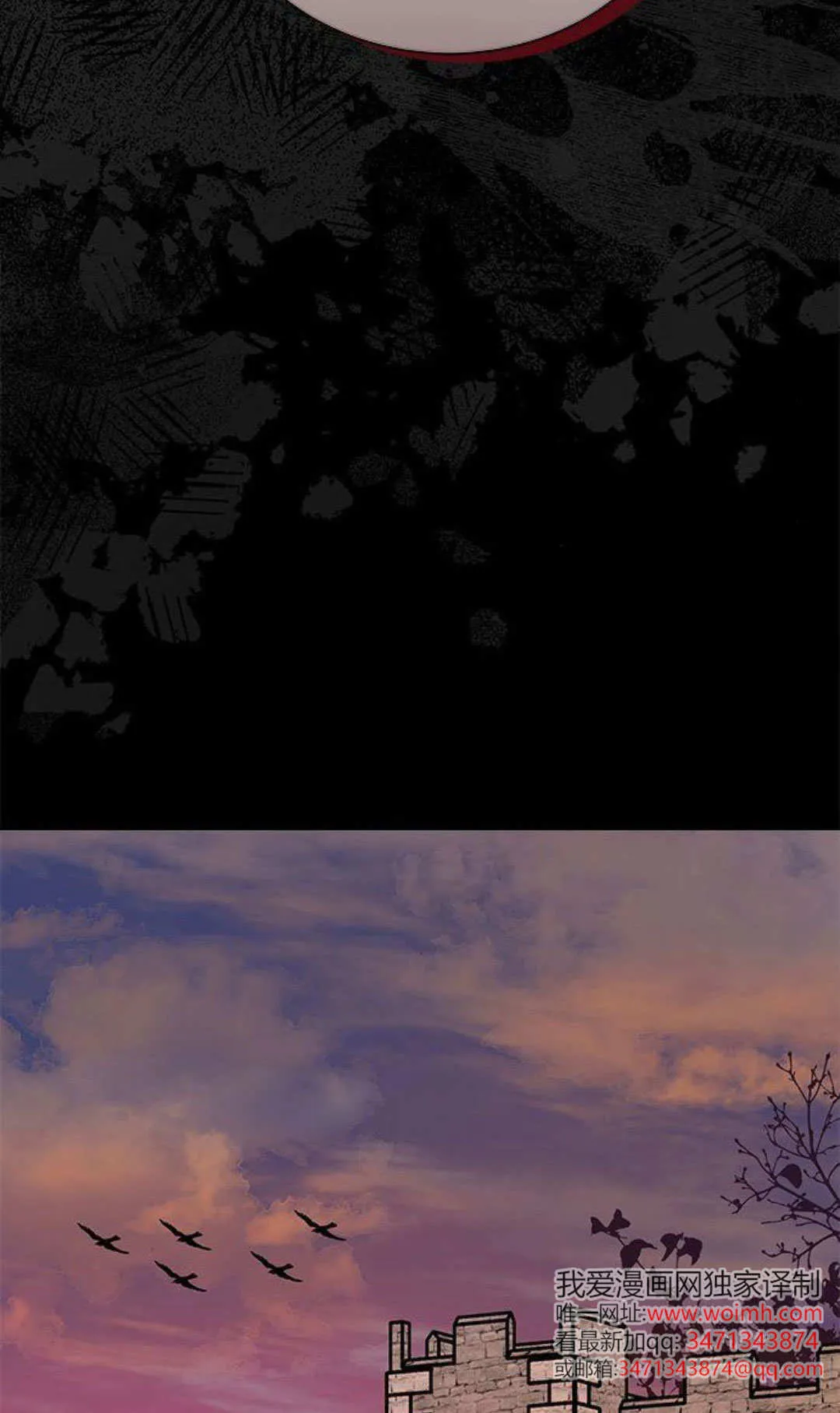 第53话55