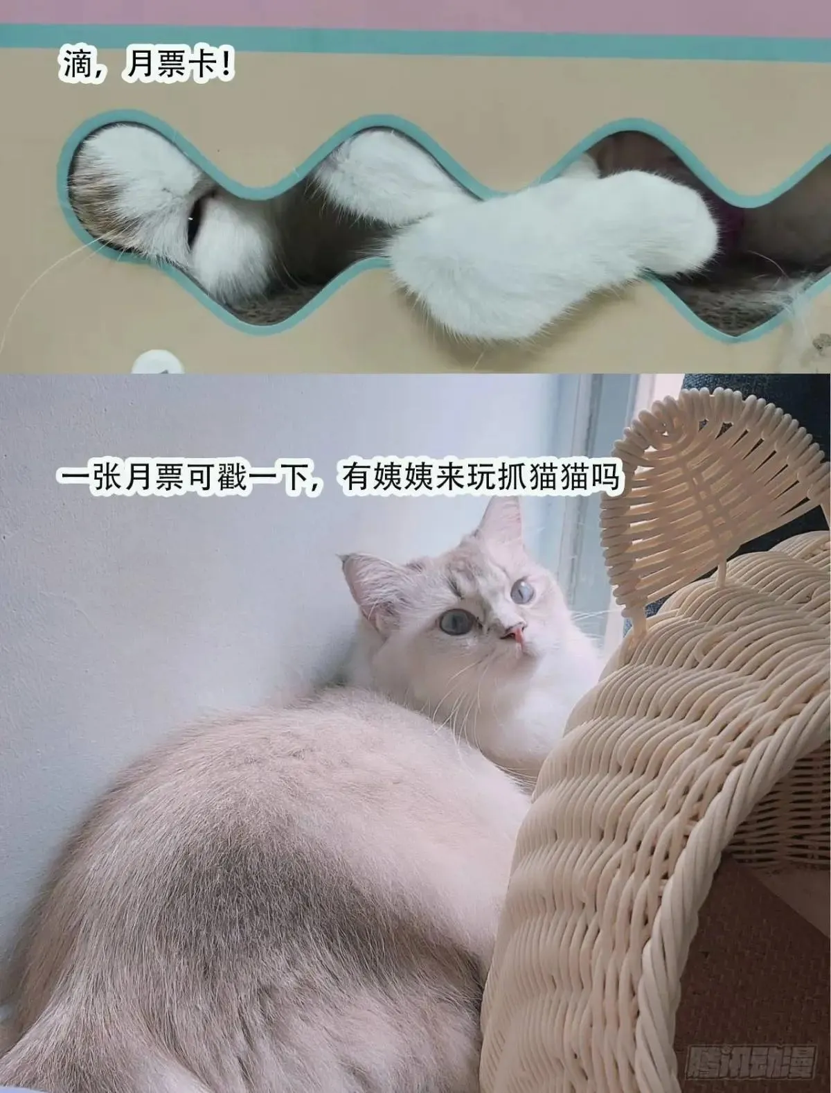第234话 援军！70