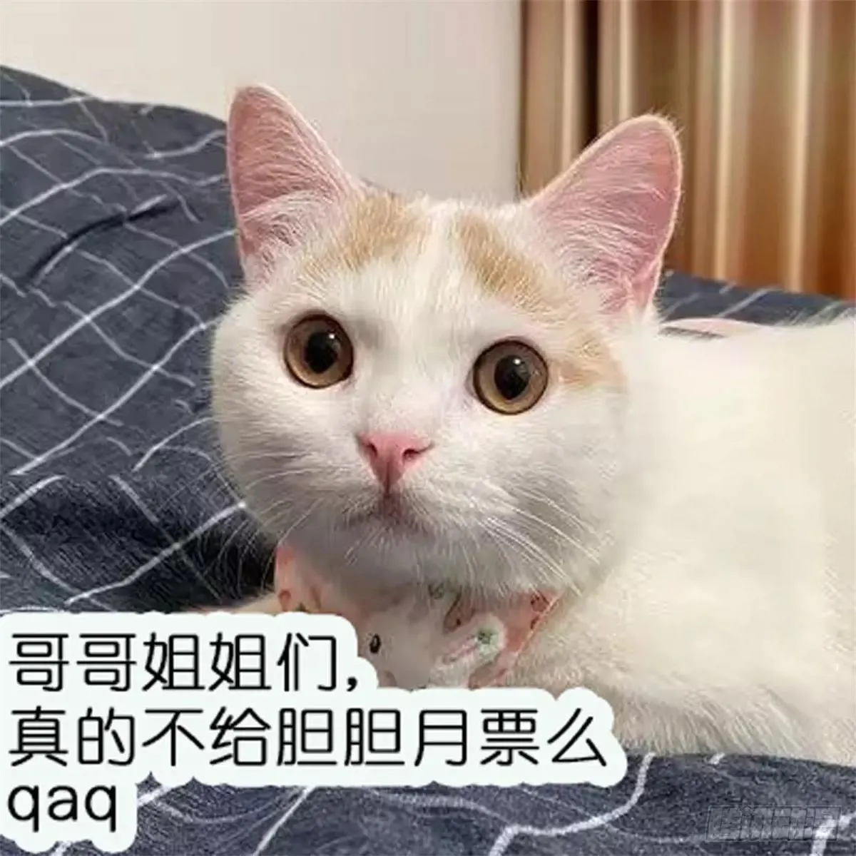 232话 成年孟超57