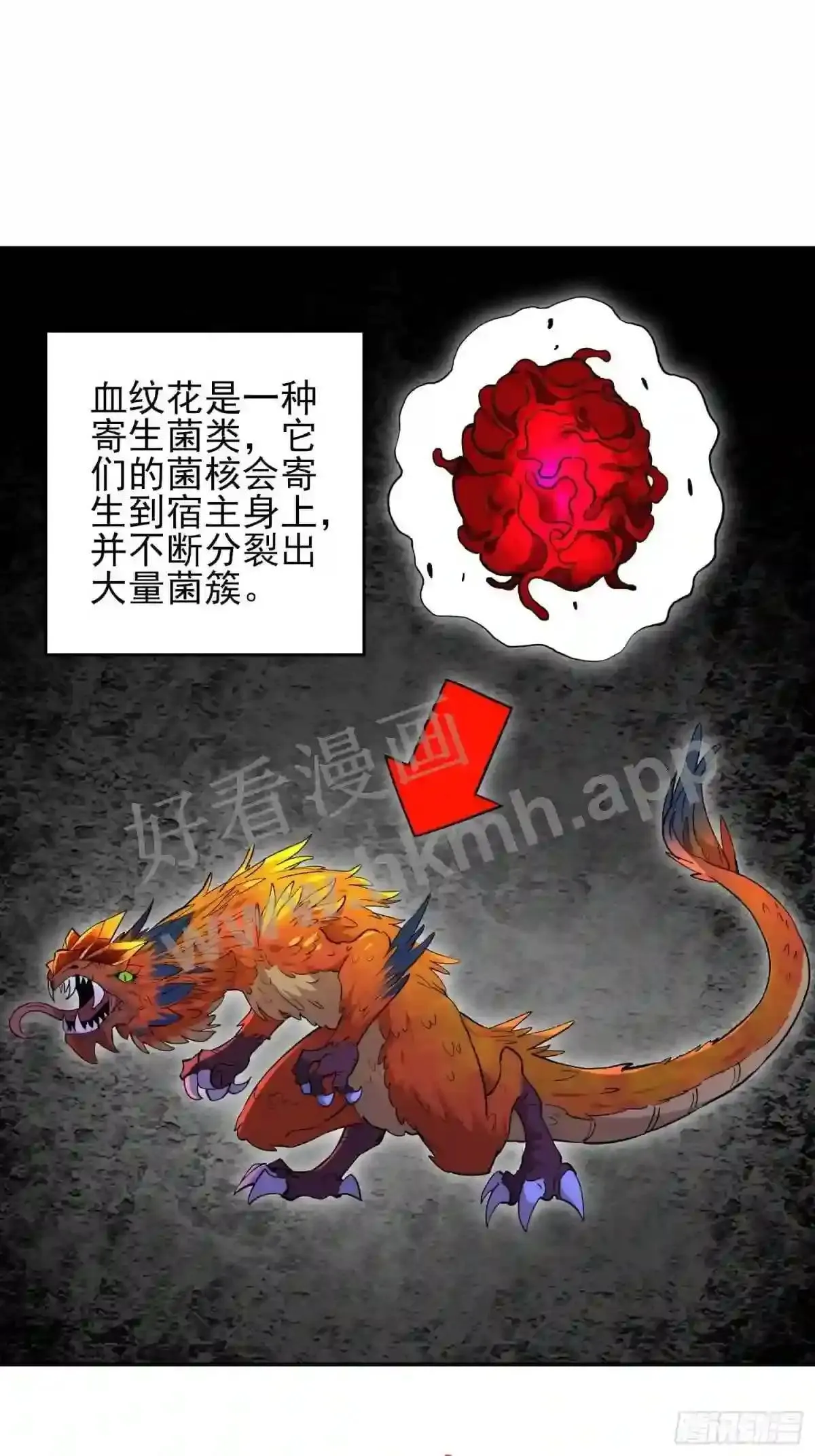 第146话 血纹花20