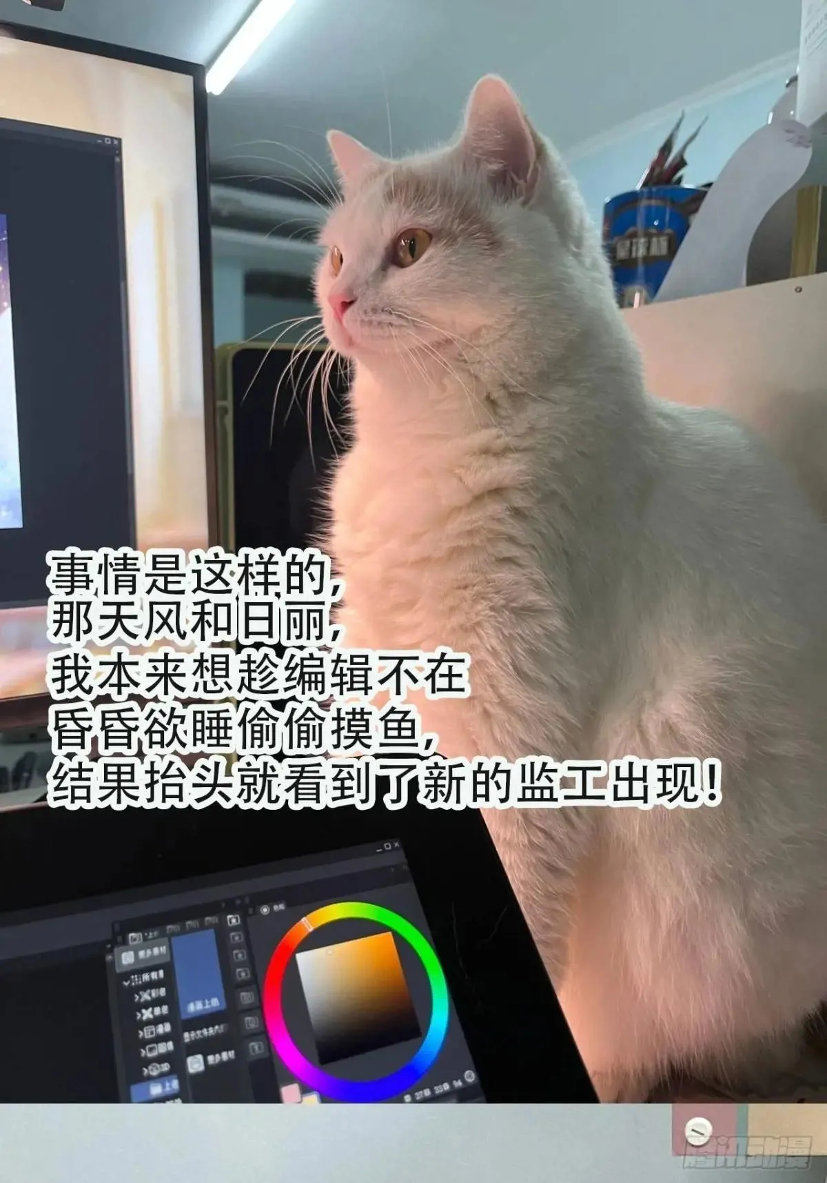 第225话 生死未卜42