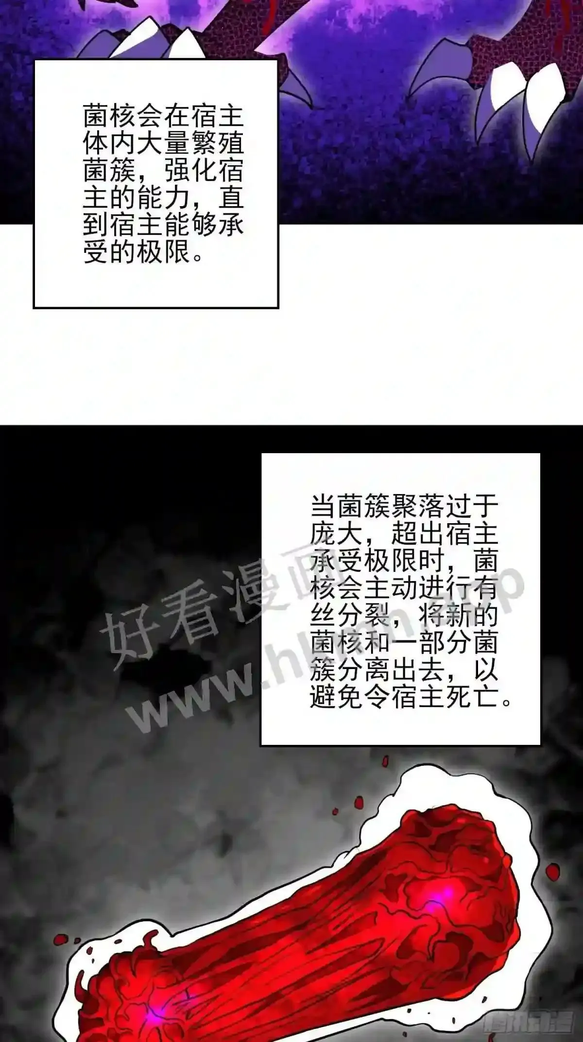 第146话 血纹花22