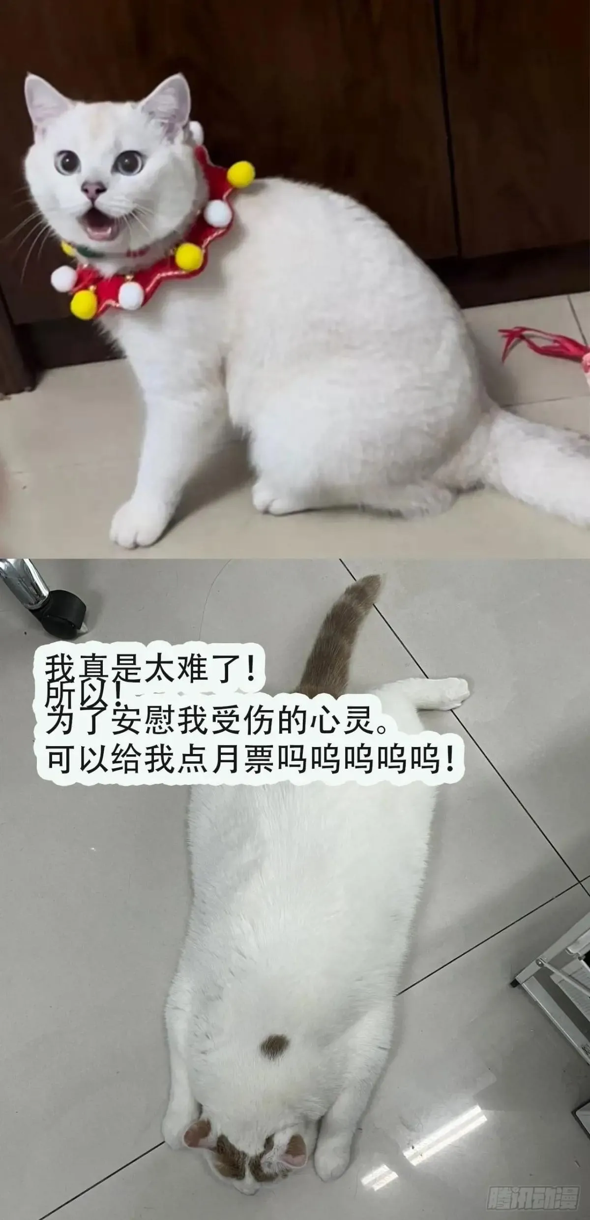 第225话 生死未卜44