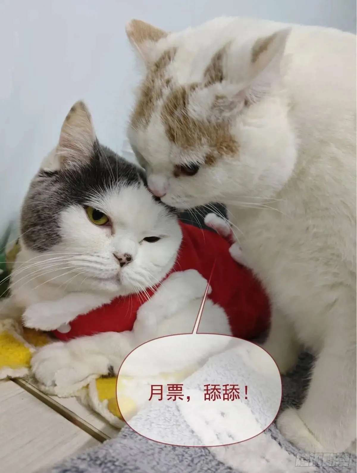 第239话 荒野历险52
