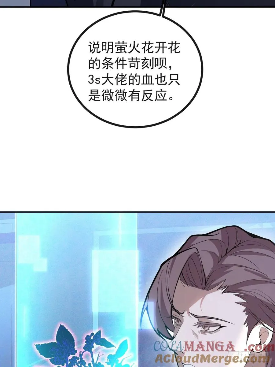 45-辰阳的真正实力27