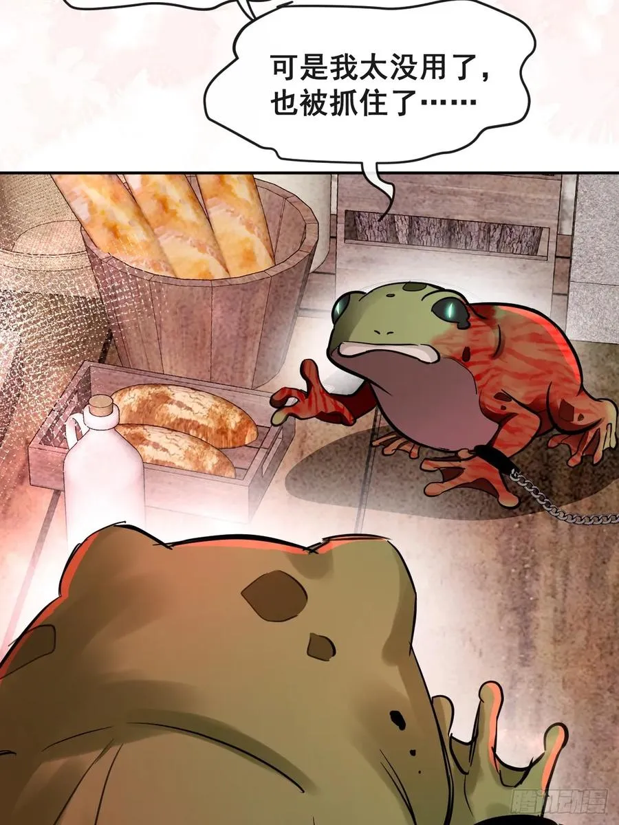 28-蛙蛙难道要长不大了！！44