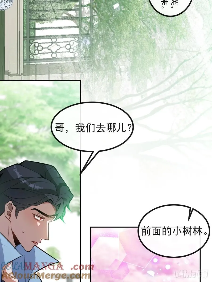 17-小树林~39