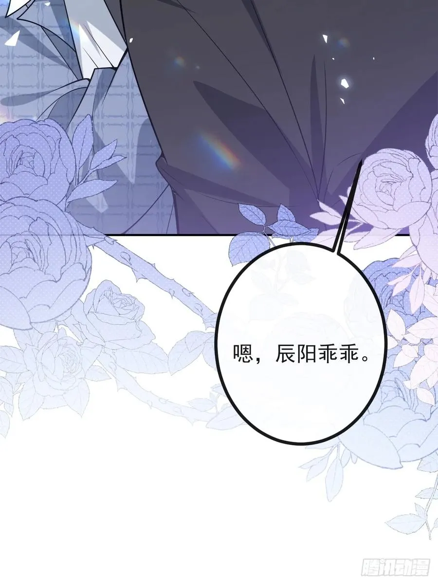45-辰阳的真正实力20