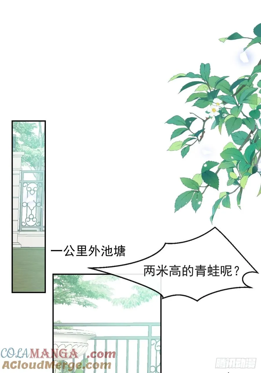 17-小树林~24