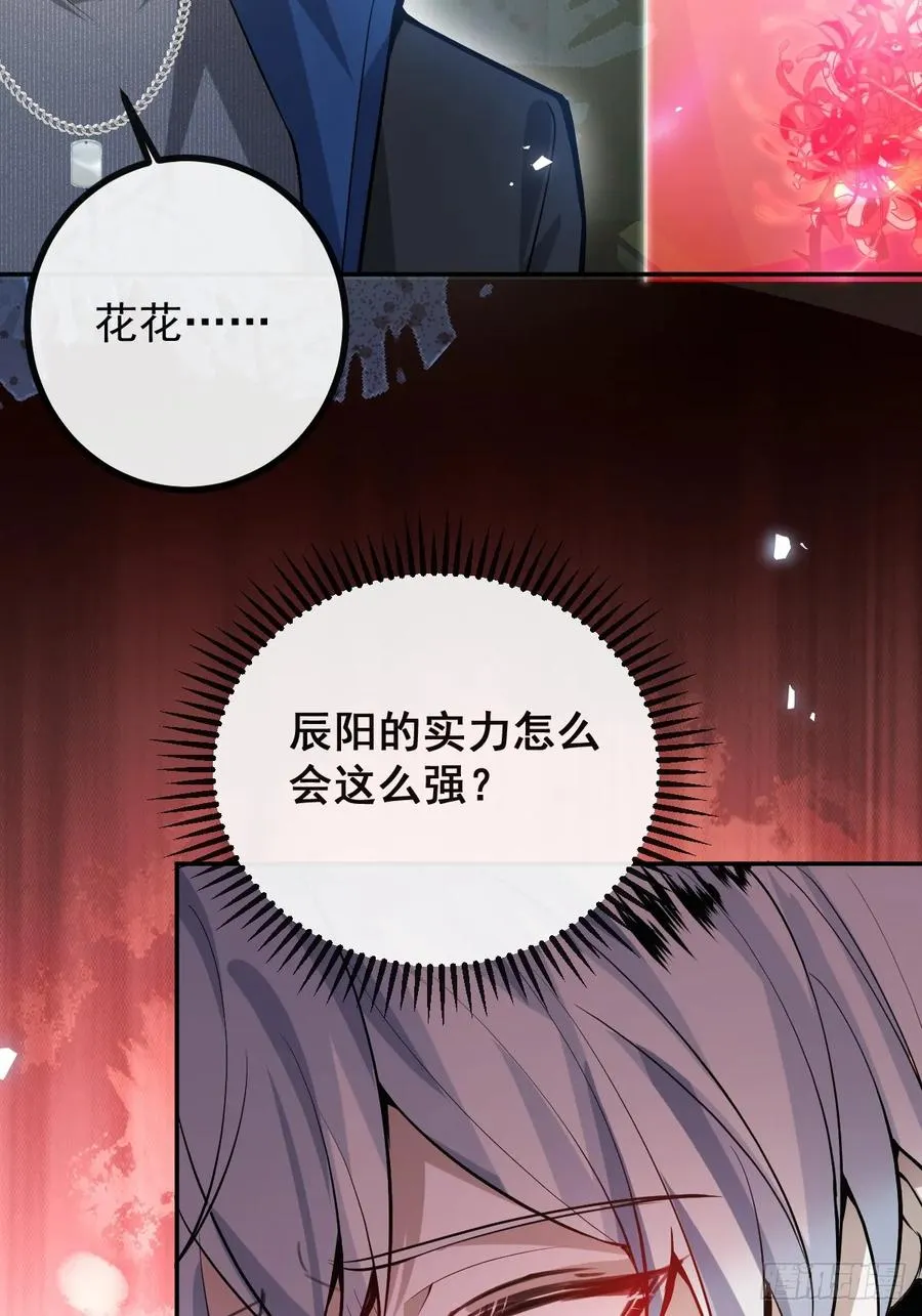 45-辰阳的真正实力38