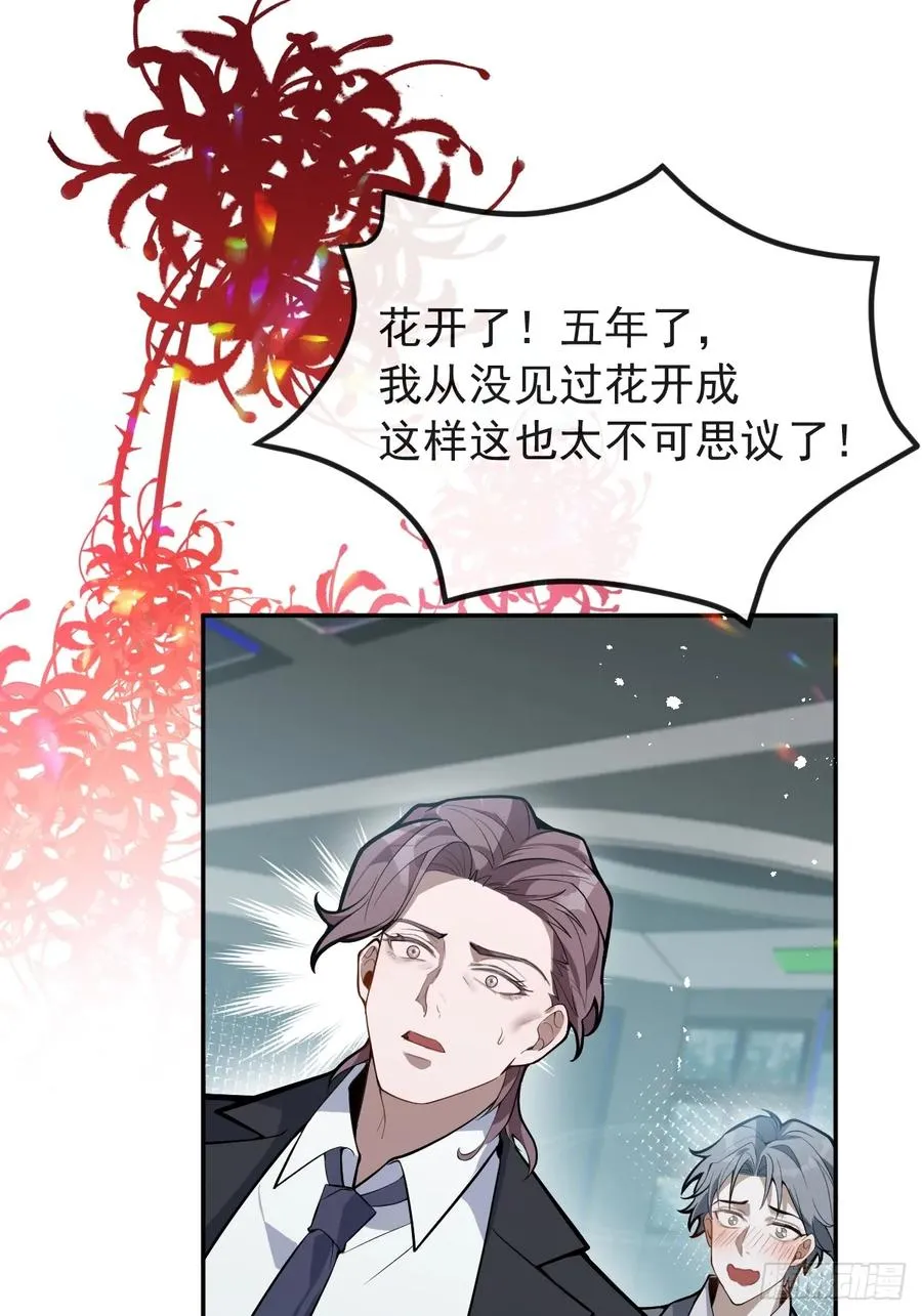 45-辰阳的真正实力40