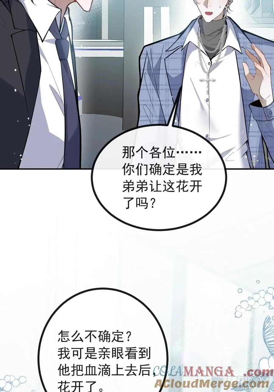 45-辰阳的真正实力42