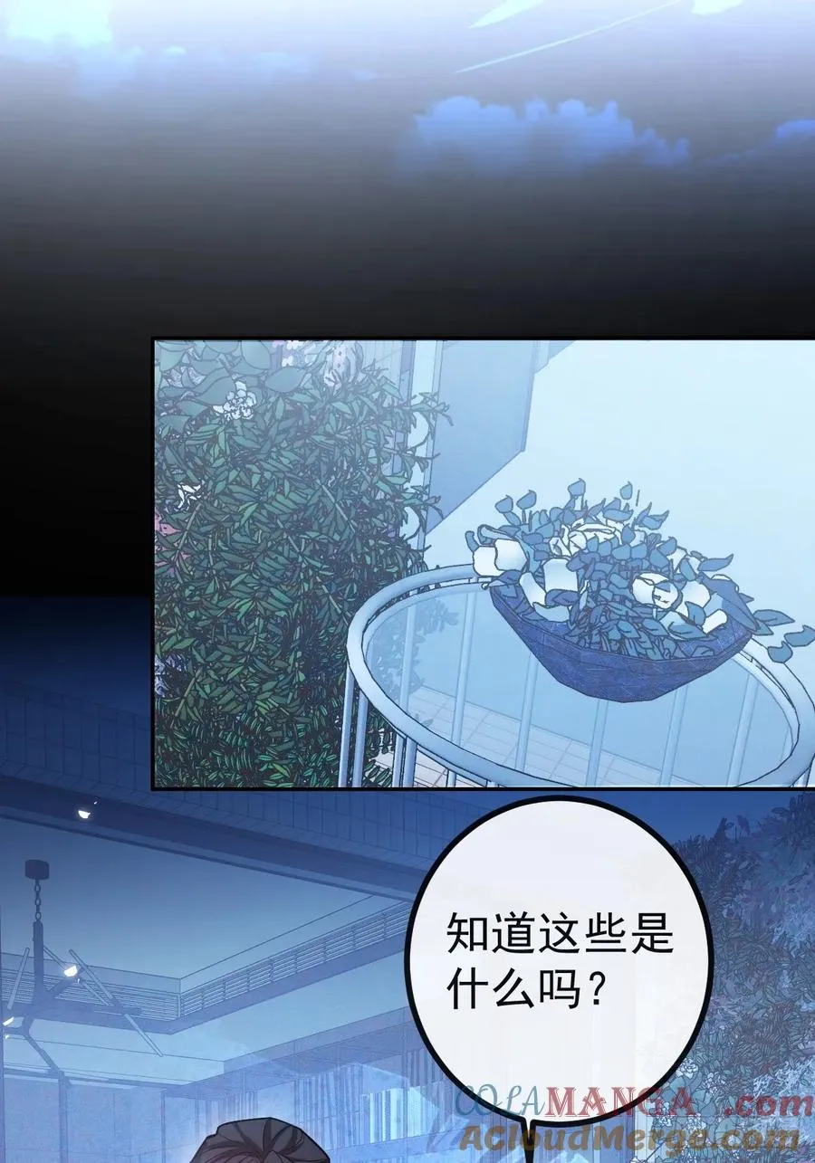 50-小池池我想…9