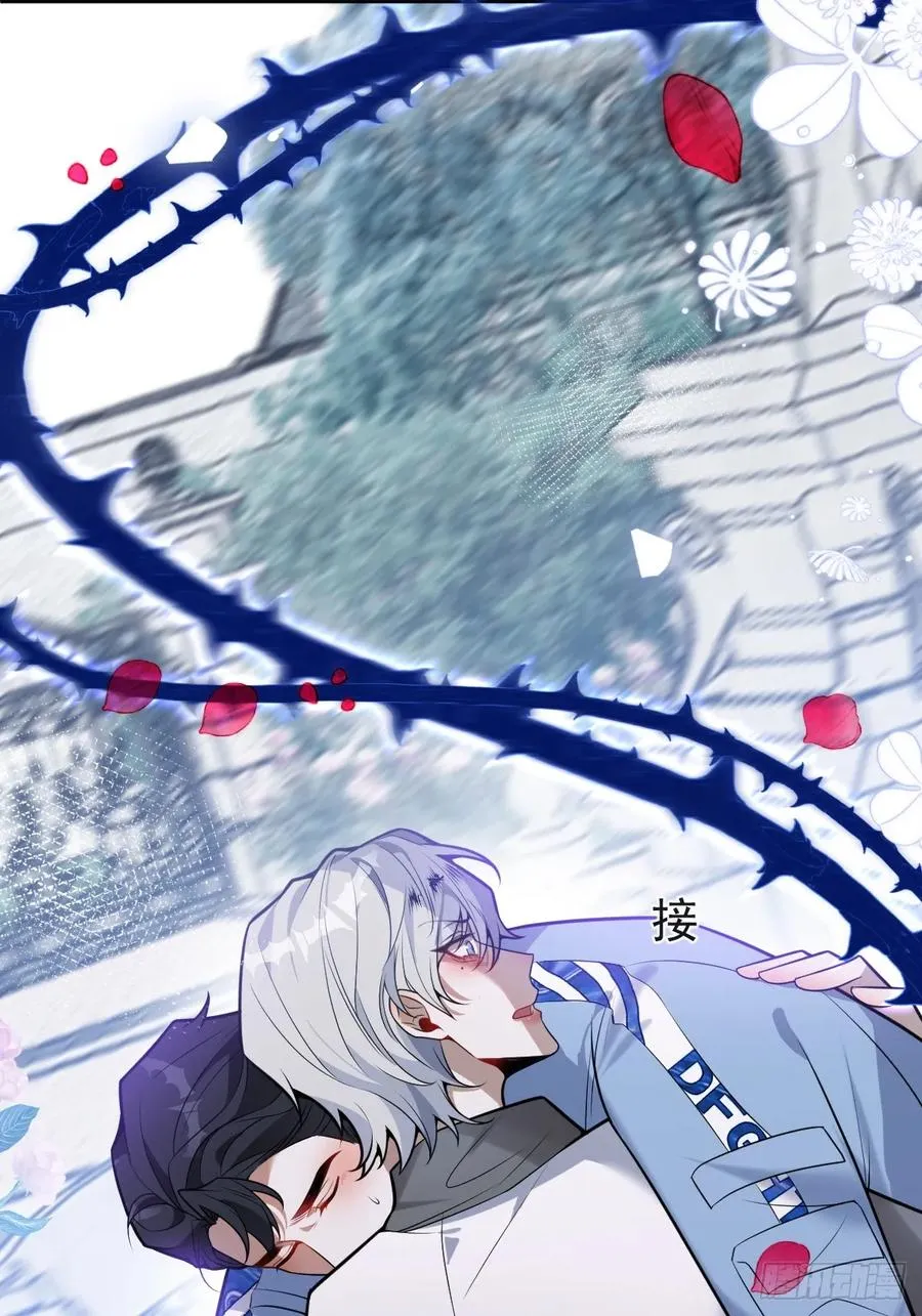 17-小树林~2