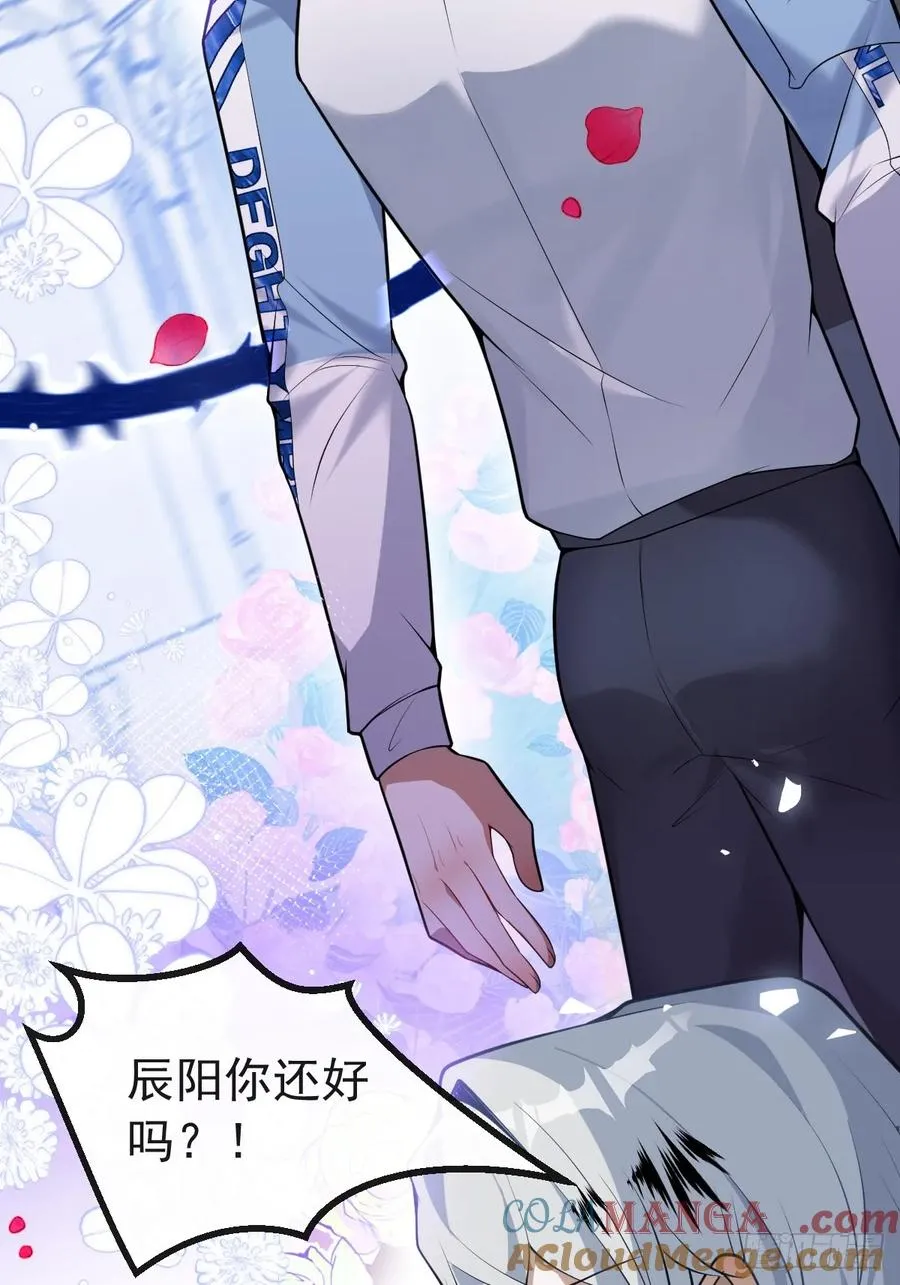 17-小树林~3