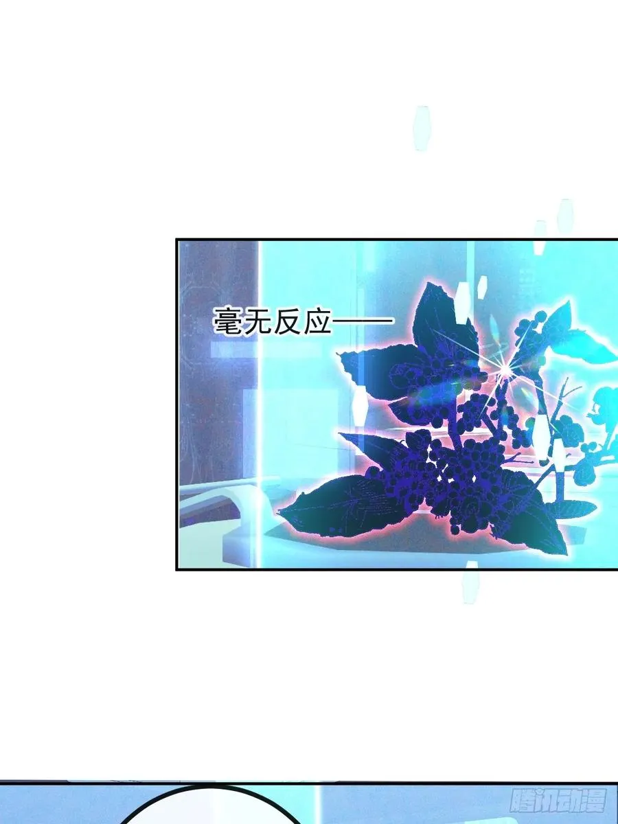 45-辰阳的真正实力23
