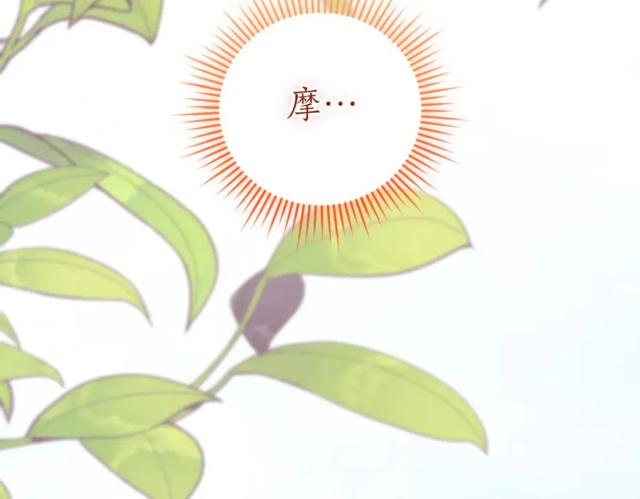 第41话 公爵吃醋254