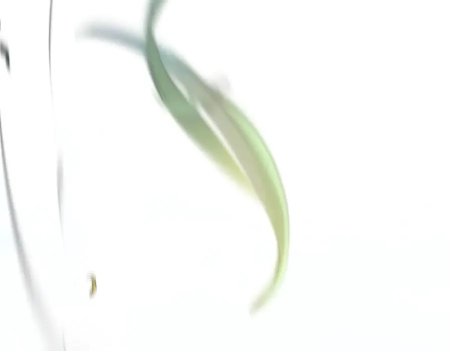 第37话 不愿重蹈覆辙193