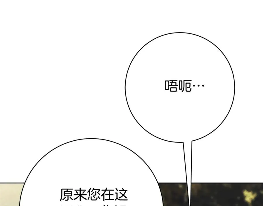 第11话 被强吻了？！201