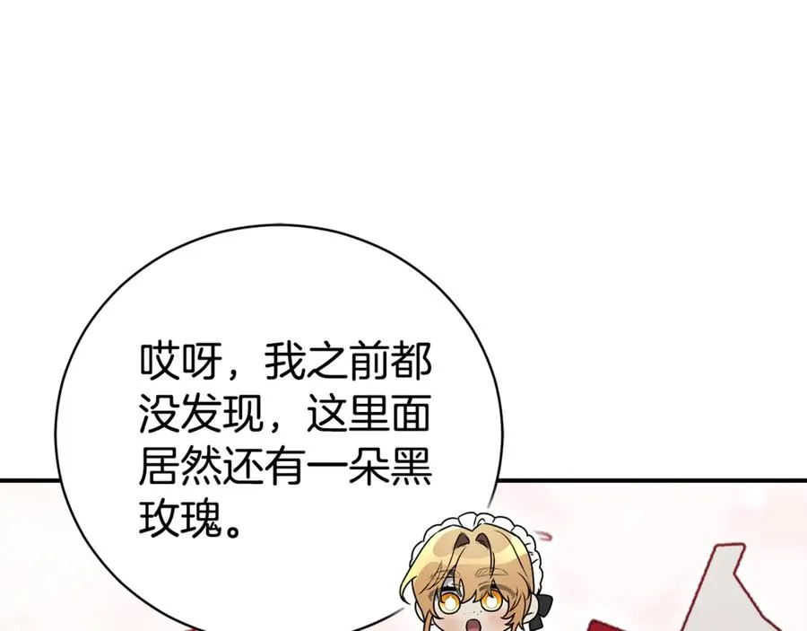 第35话 绝不重蹈覆辙243