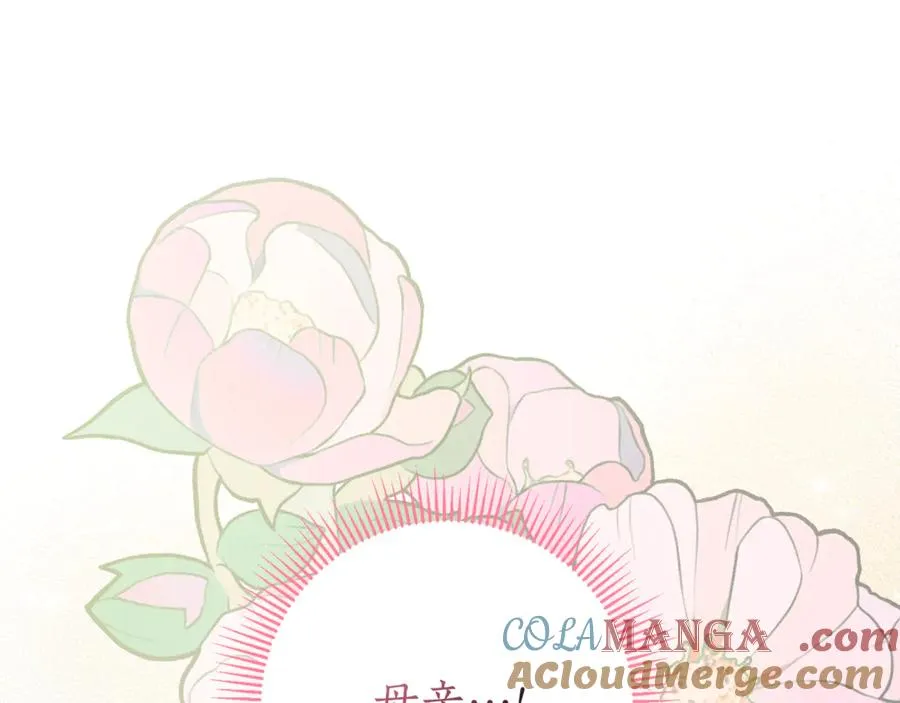 第24话 送婚书？204