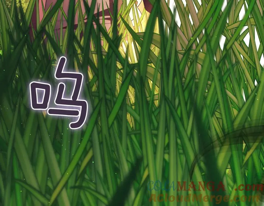 第47话 一点点骄傲284