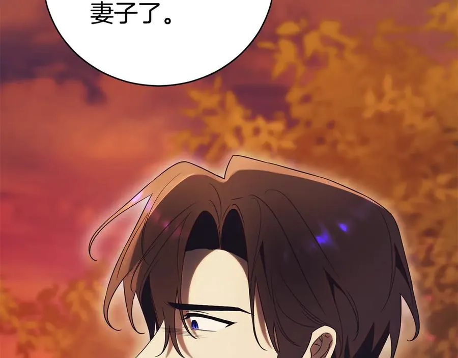 第30话 夫妻相认？233