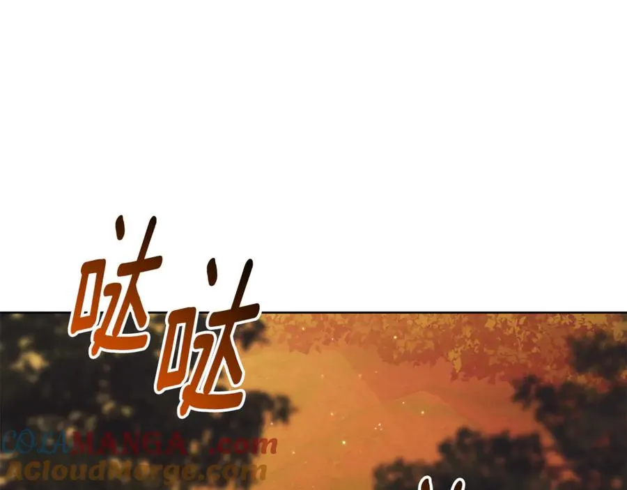 第11话 被强吻了？！248