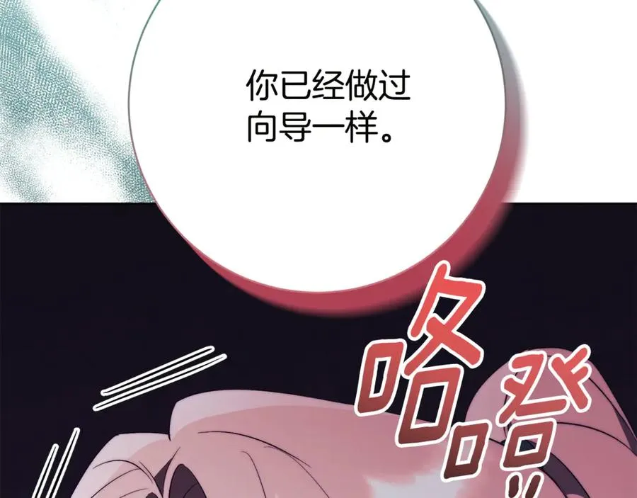 第17话 专属向导241