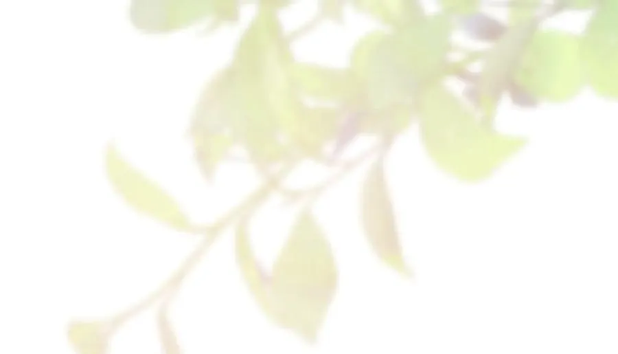 第26话 他也生病了？23