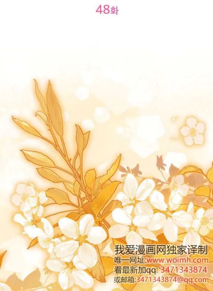 第48话26