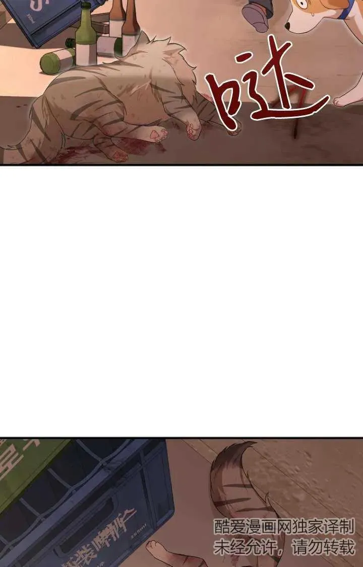 第13话1